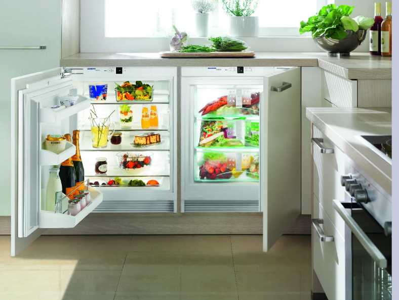 Можно ли морозилкой пользоваться как холодильником?